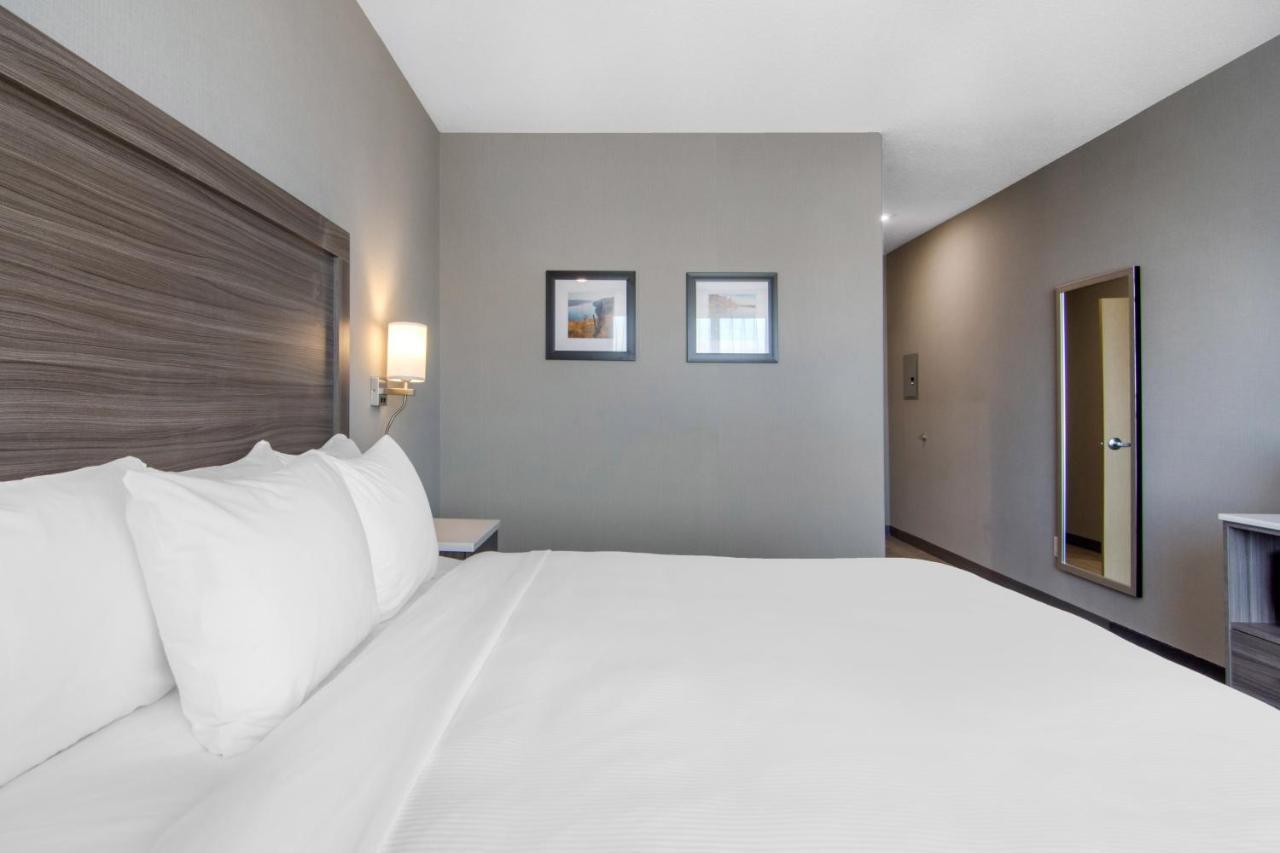 Comfort Inn & Suites North Battleford Bagian luar foto